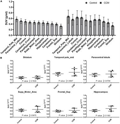 A feasibility study for quantitative assessment of cerebrovascular malformations using flutriciclamide ([18F]GE-180) PET/MRI